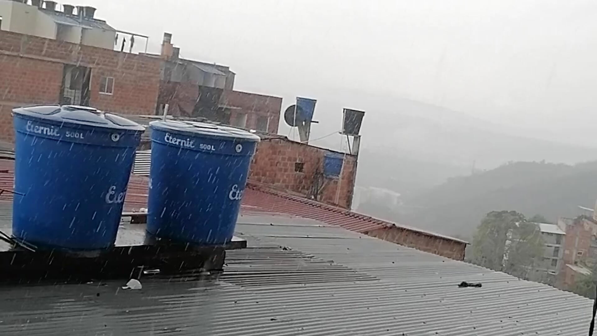 VID_20240225_084923 - Video von grace_82 Cam-Model