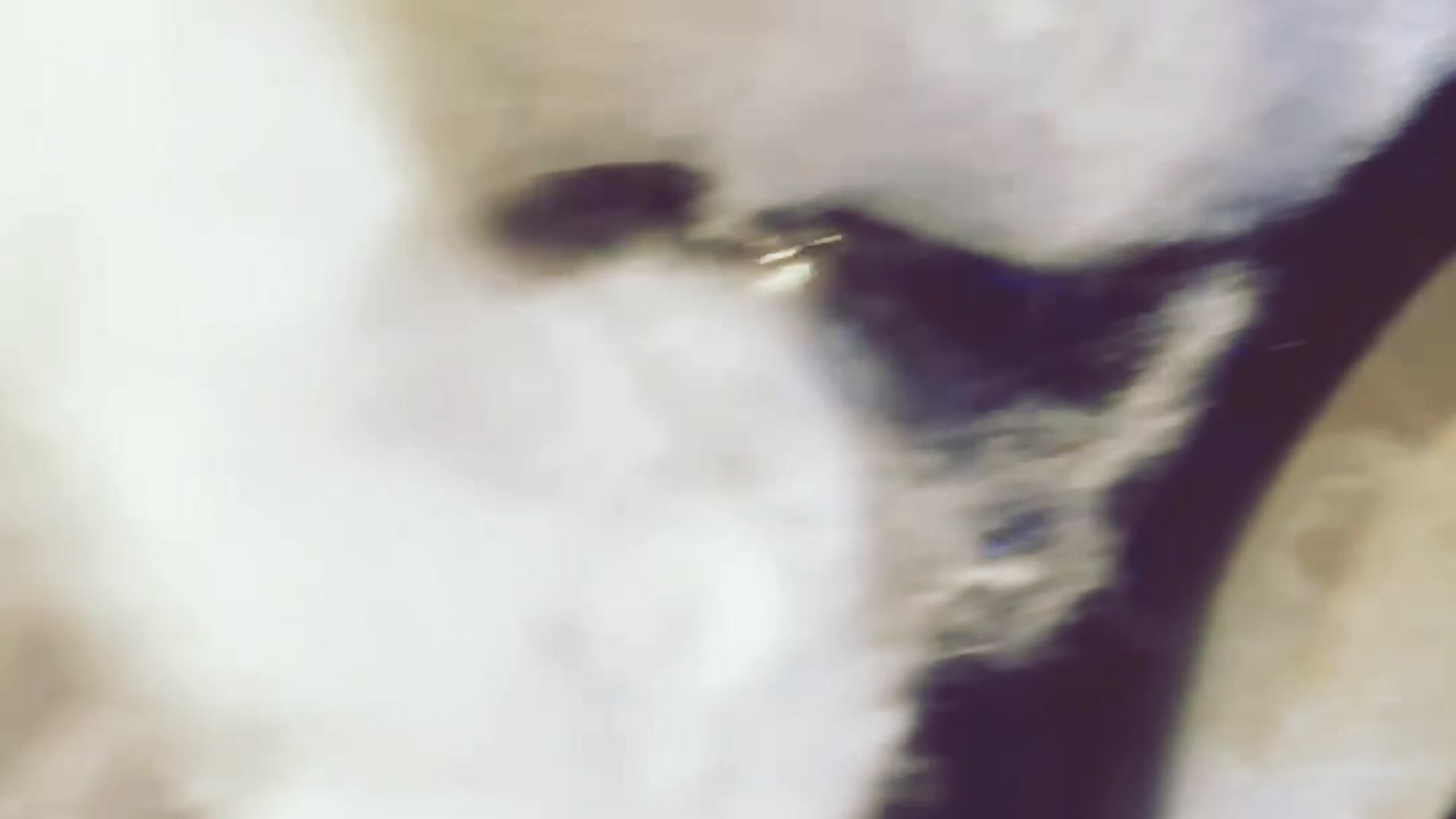 Halloween ‘26 - video av CarolaDrago cam-modell