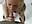 Fick in den Mai! - video by DirtyTina cam model