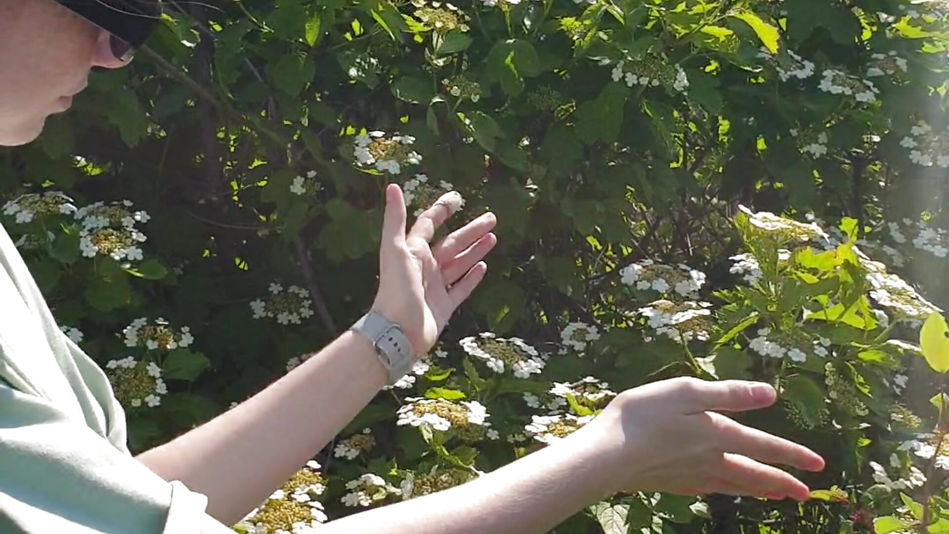 Yesterday in the sun
