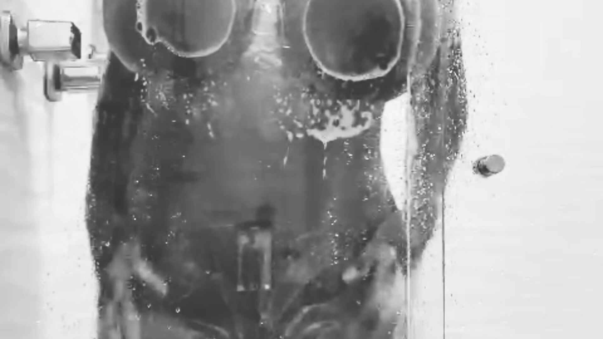 Do you wanna take a shower with me?😈 - video by anahi_ryan_ cam model