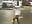 Imagine that we went through something else here in the parking lot? - video by Salome_Diaz_ cam model