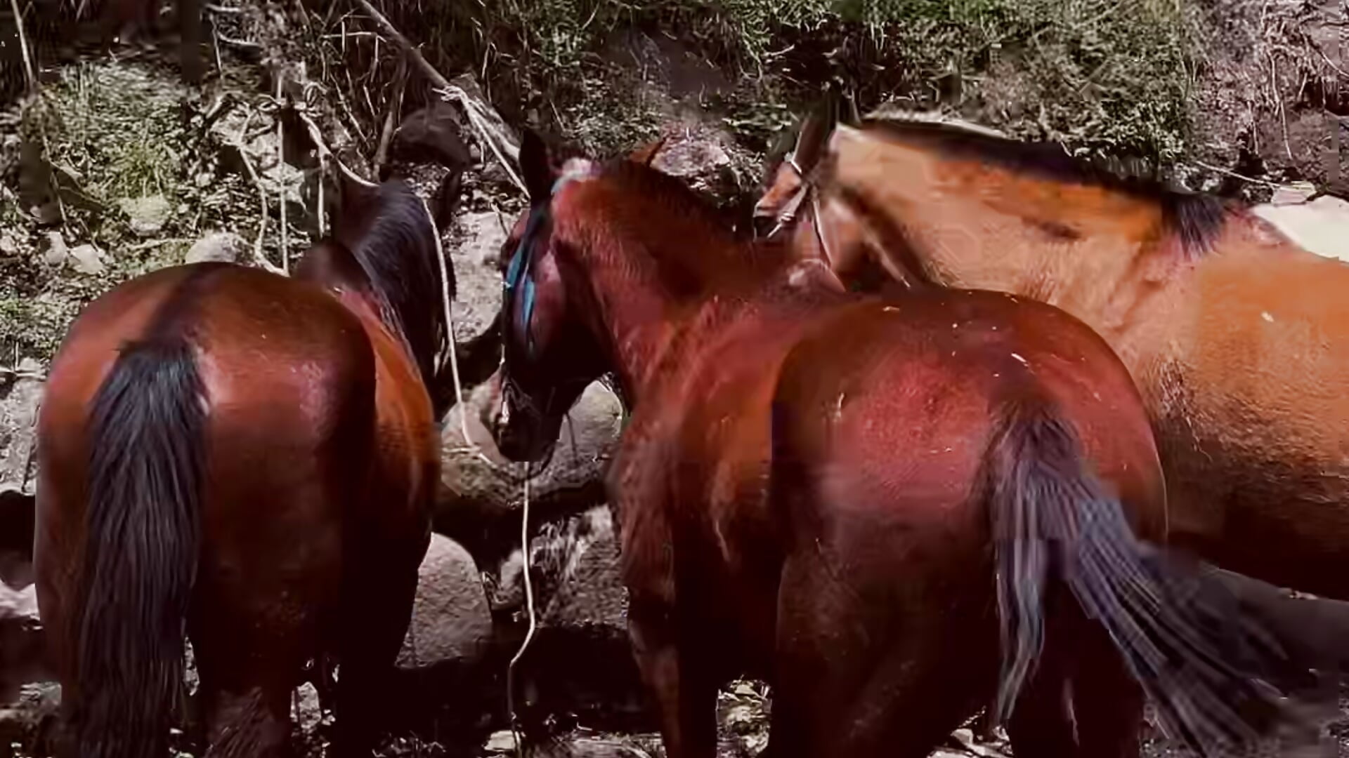 Eva being infinitely happy💝🌷 - video by Eva_ritz