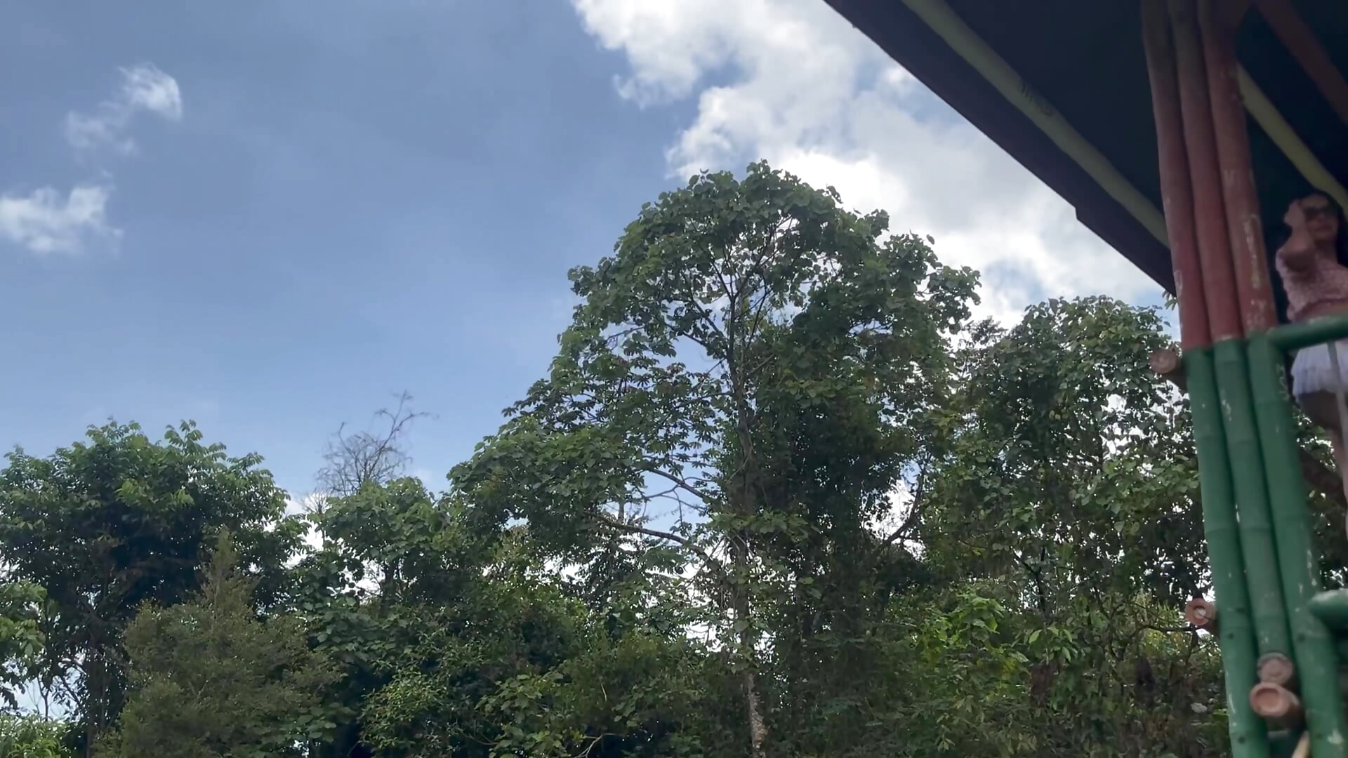 Nice day ☀️ - video oleh Eva_ritz kamera model