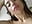Take a shower with me - clip cu Luna__Ponce