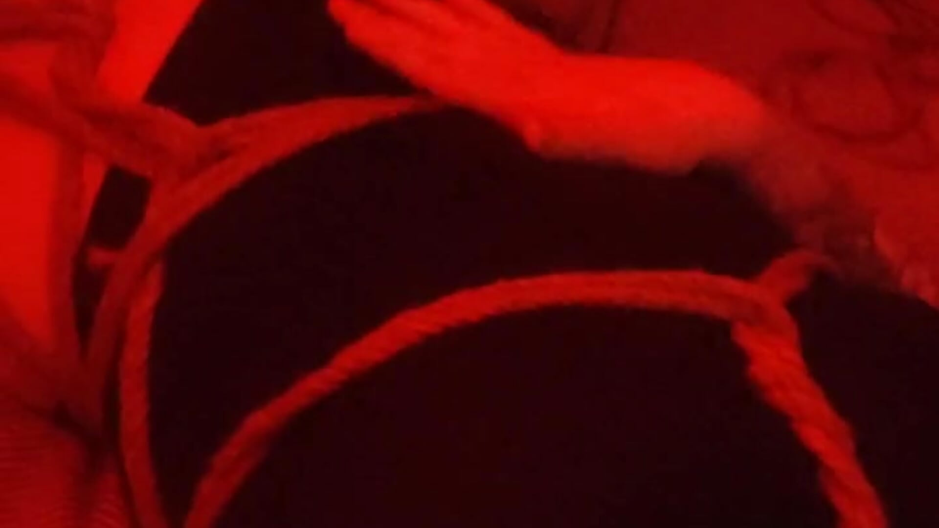 Shibaru - video by The_Full_Red_Moon cam model