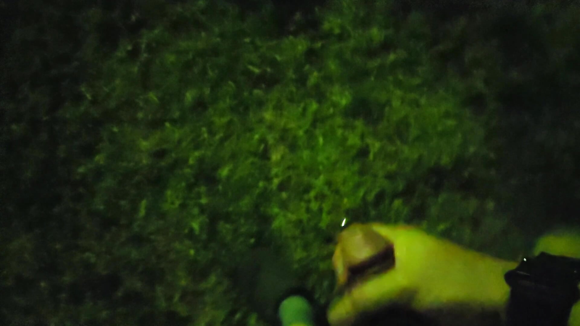 Outdoor fun - video di SlutPupWaya modella di cam