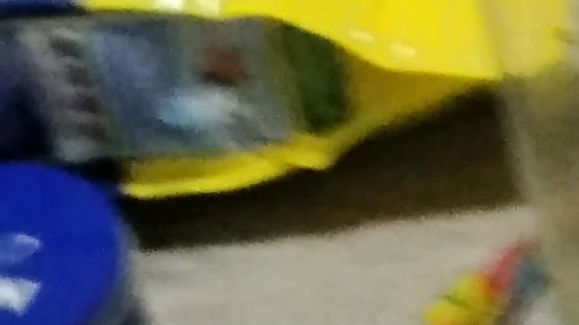 1000013038 - video oleh mazwo kamera model