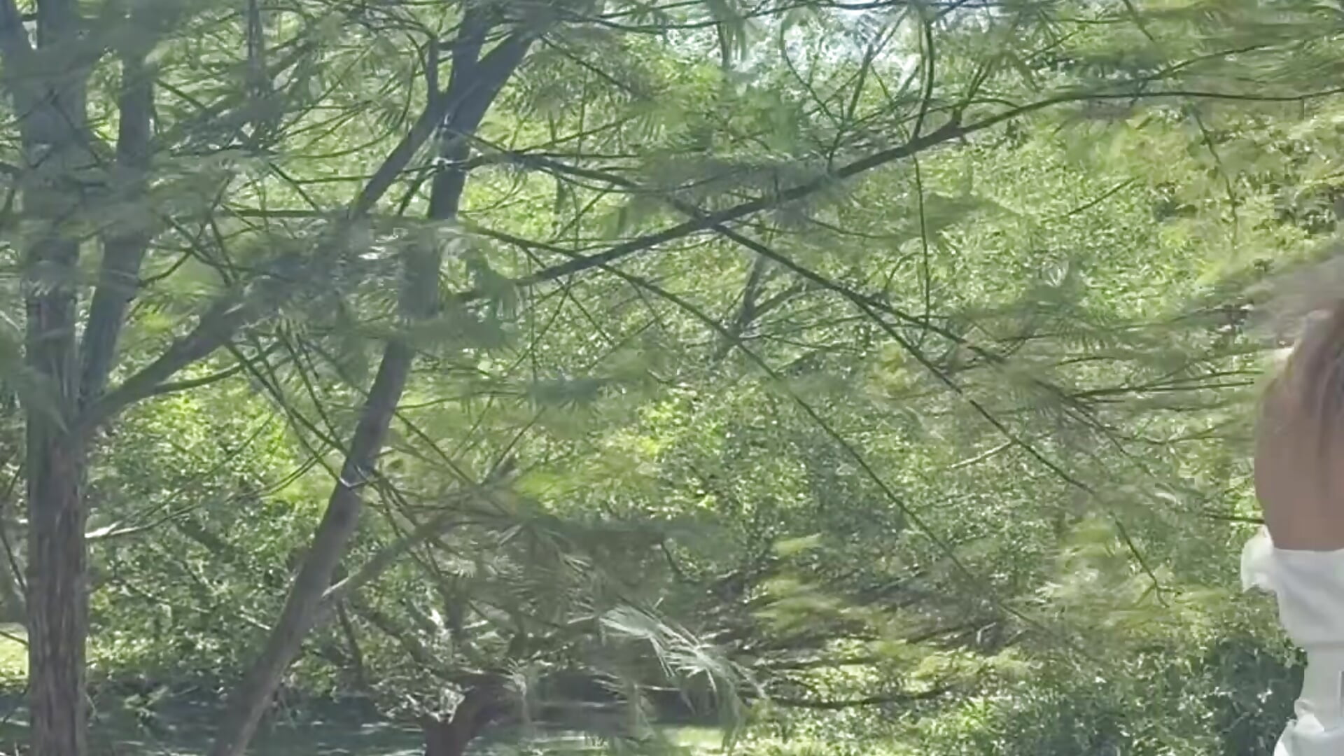 Infinite love for them 🤎🐴 - video di MaryDeniro modella di cam