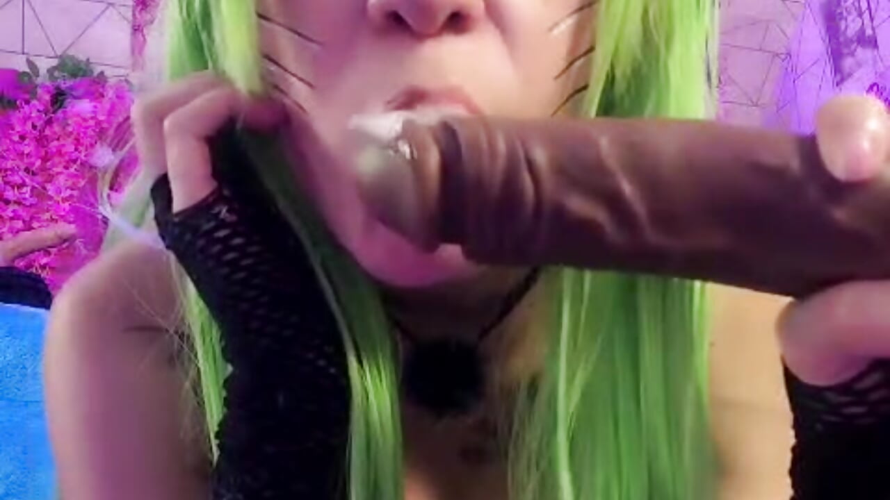 your sucking cat