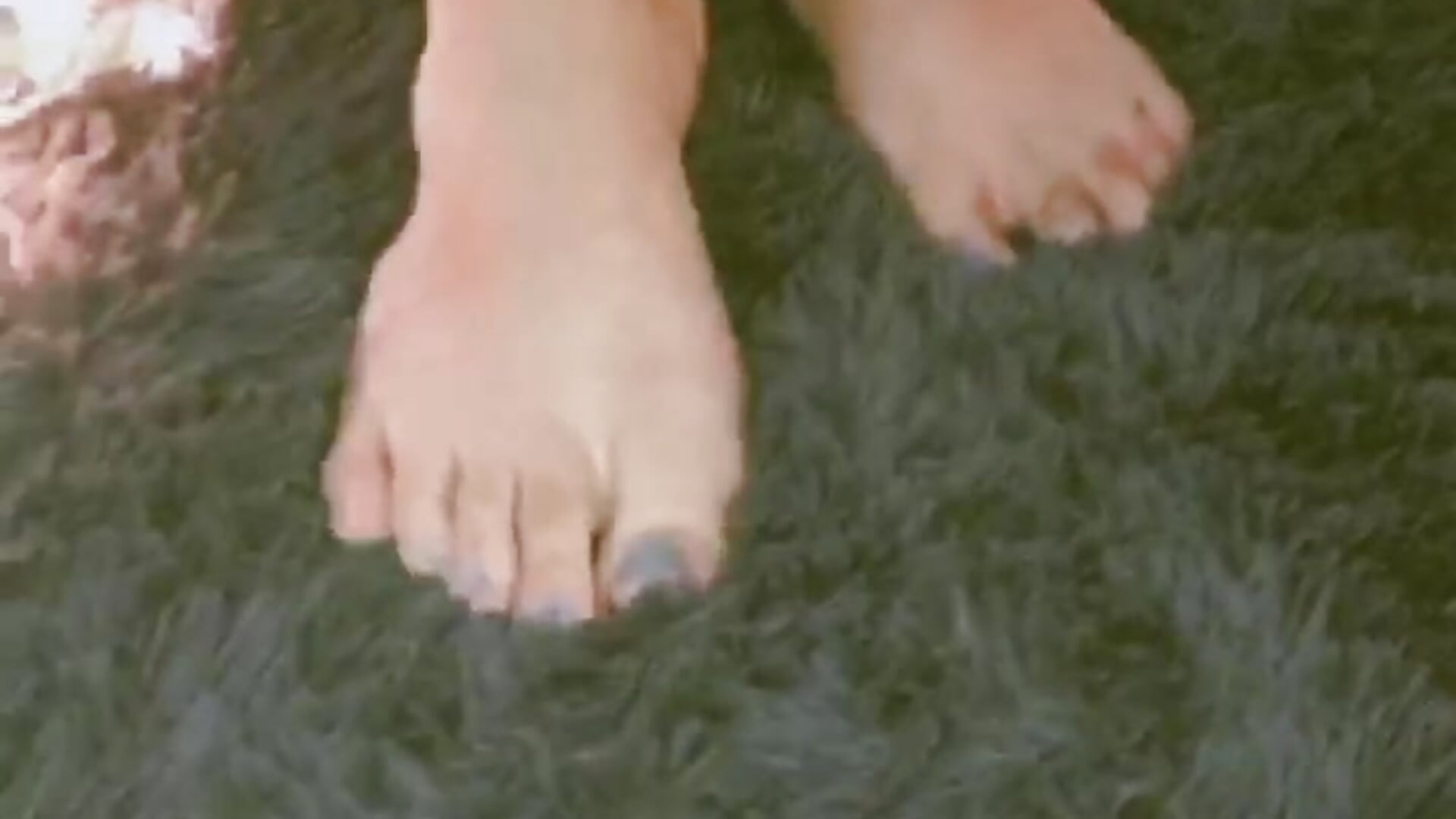 👣 feed - βίντεο μοντέλου miss_grace_01