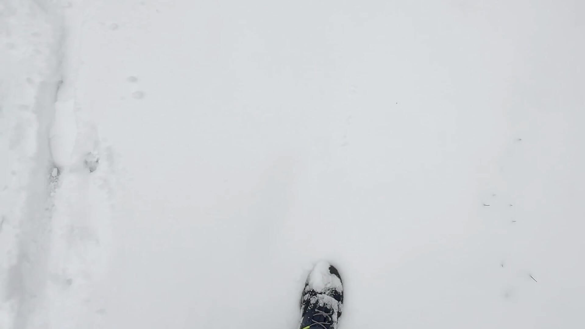 Snow 🩵❄️ - video by sexywildcat40 cam model