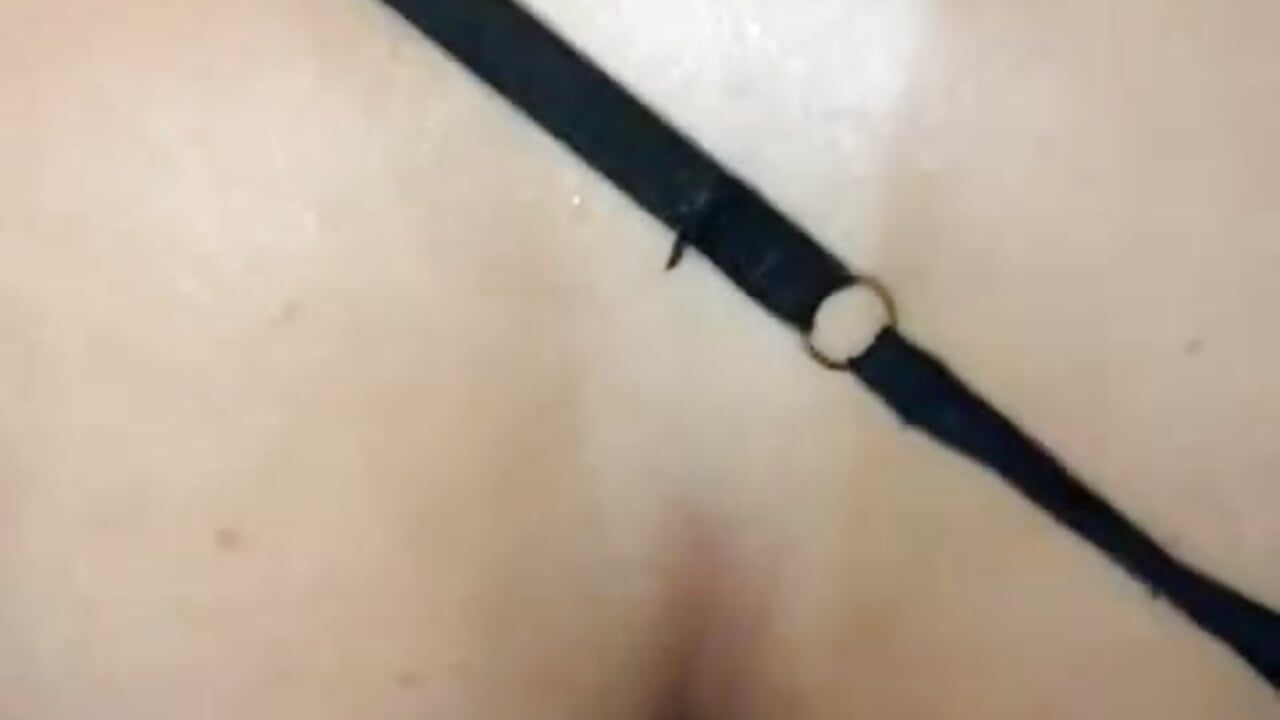 カメラキャストのCarlosmorenoscさんのトレンドな 1843本の動画