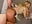 (3)SEX TAPE PART 2 X - Irish_BarbieX 的视频