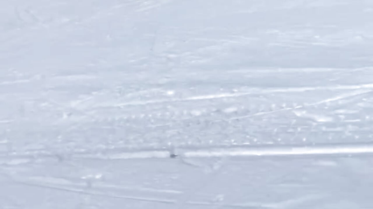 snowboarding - βίντεο μοντέλου victor_chat