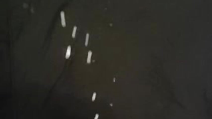 VID_20241123_090156_887 - Dedpooll8 캠 모델의 동영상