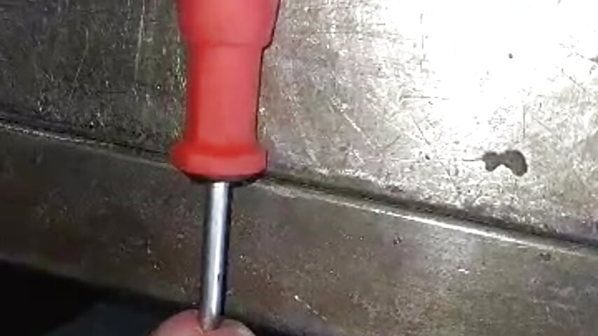 take all - vidéo du modèle de showcams 911rsrgelb