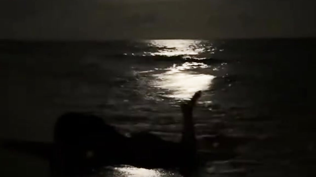 IMG_0568 - video by ElseaBloom cam model