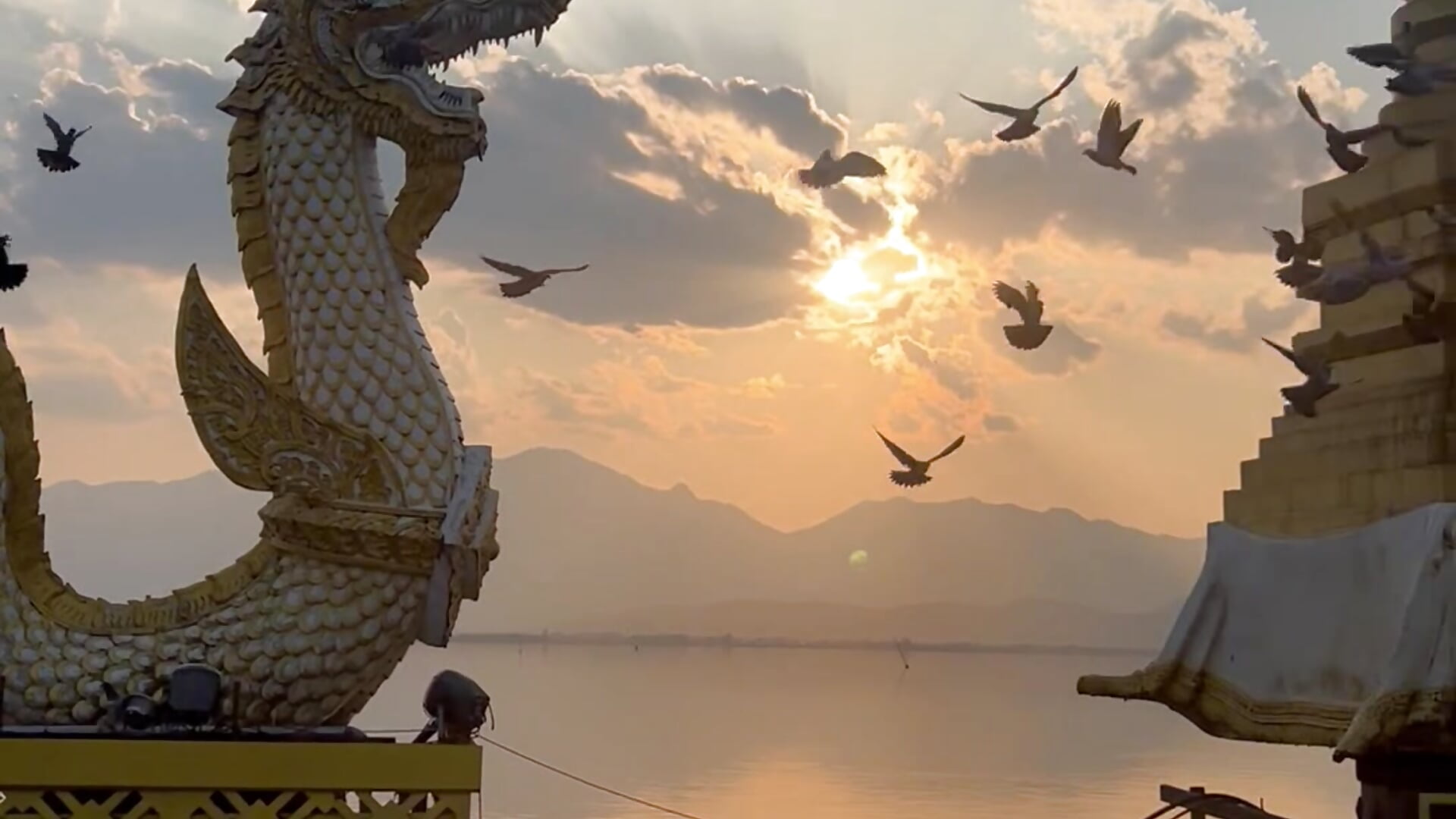 Guys, thanks to all your support in my transmission, this beautiful trip was possible, thank you 🤍 - video by HaileyBaldwin cam model