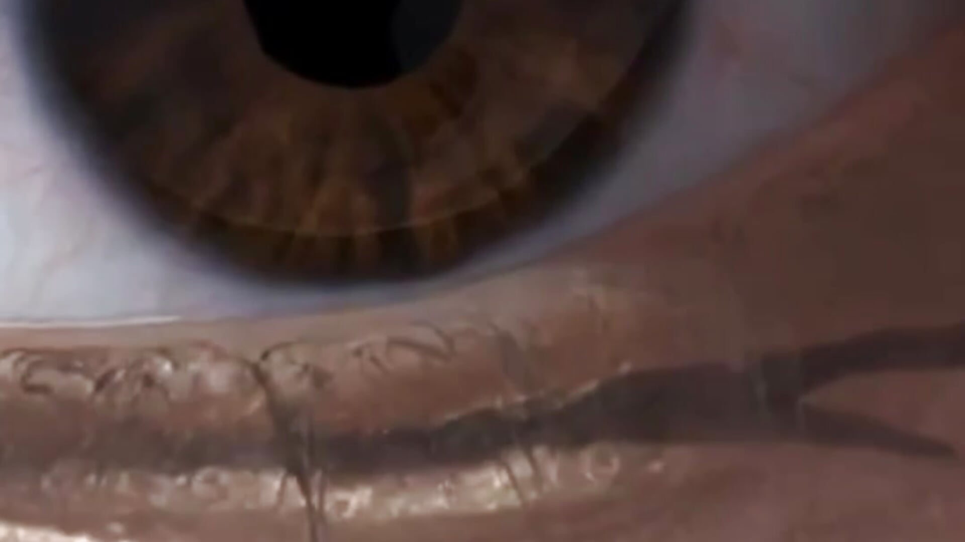 ;) - video by sara__lynn cam model