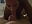 Love this dick 😍 - video by TheGirlNextDoor_33 cam model
