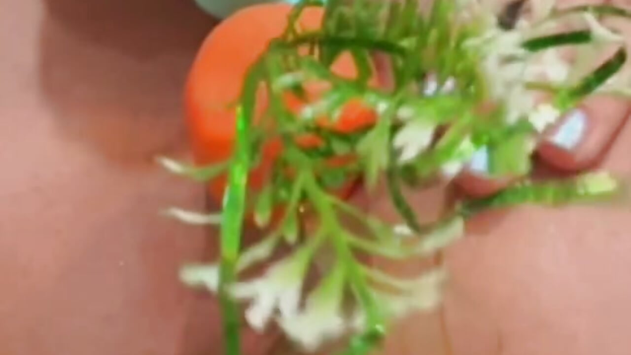 Naughty bunny - video by naked_siren cam model