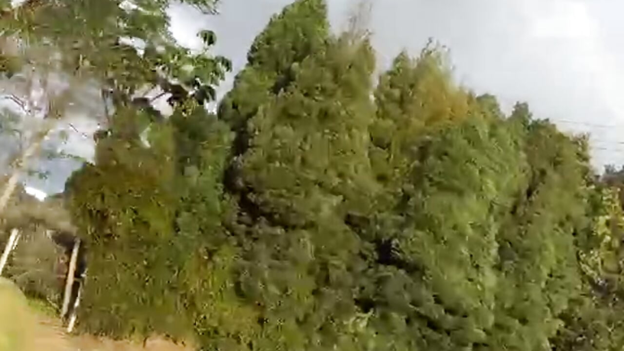 🌈A little motorcycle ride 😊💚 - 視頻由 isabella_cooper9 主播提供