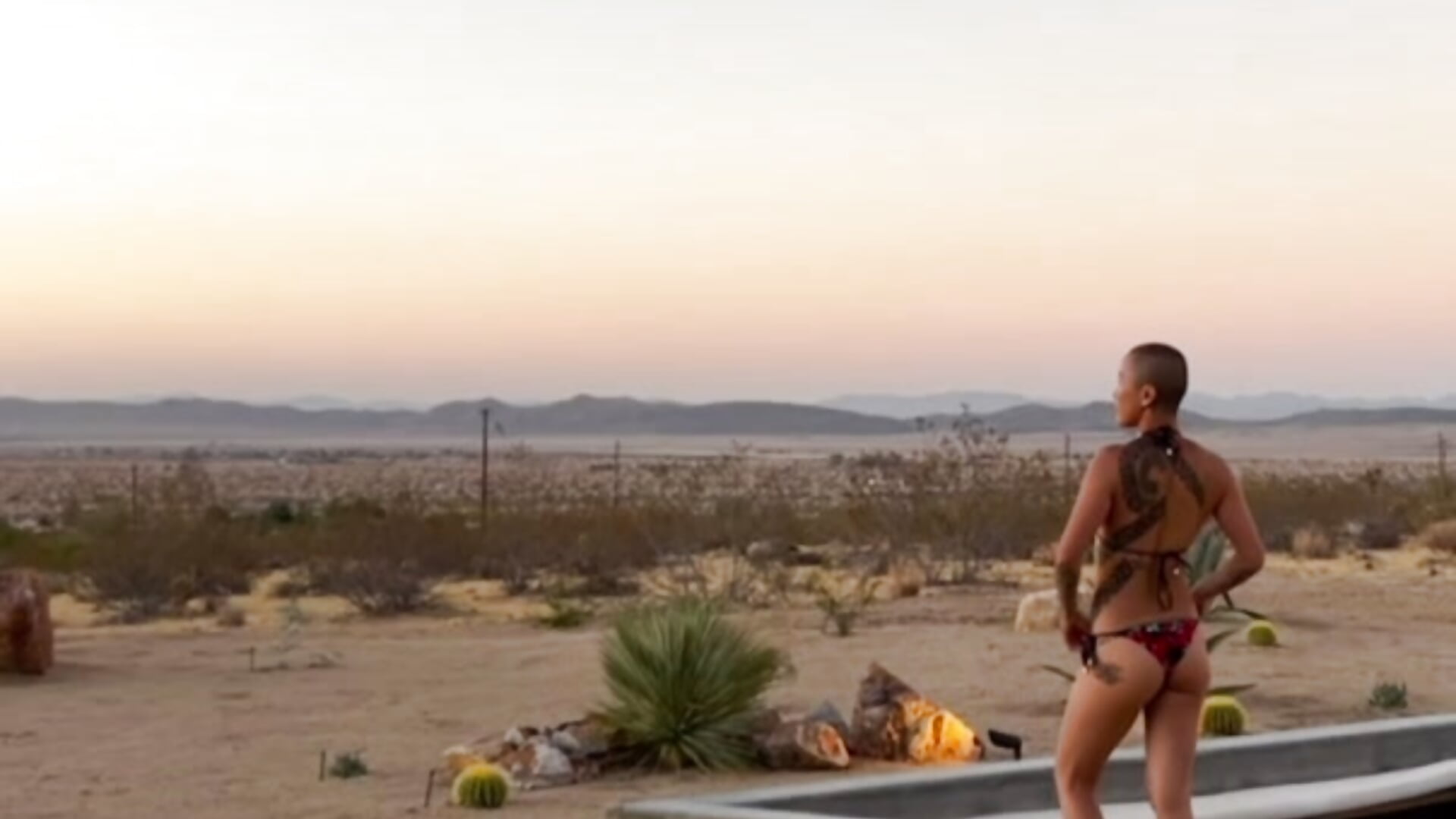 A National Treasure 🌵