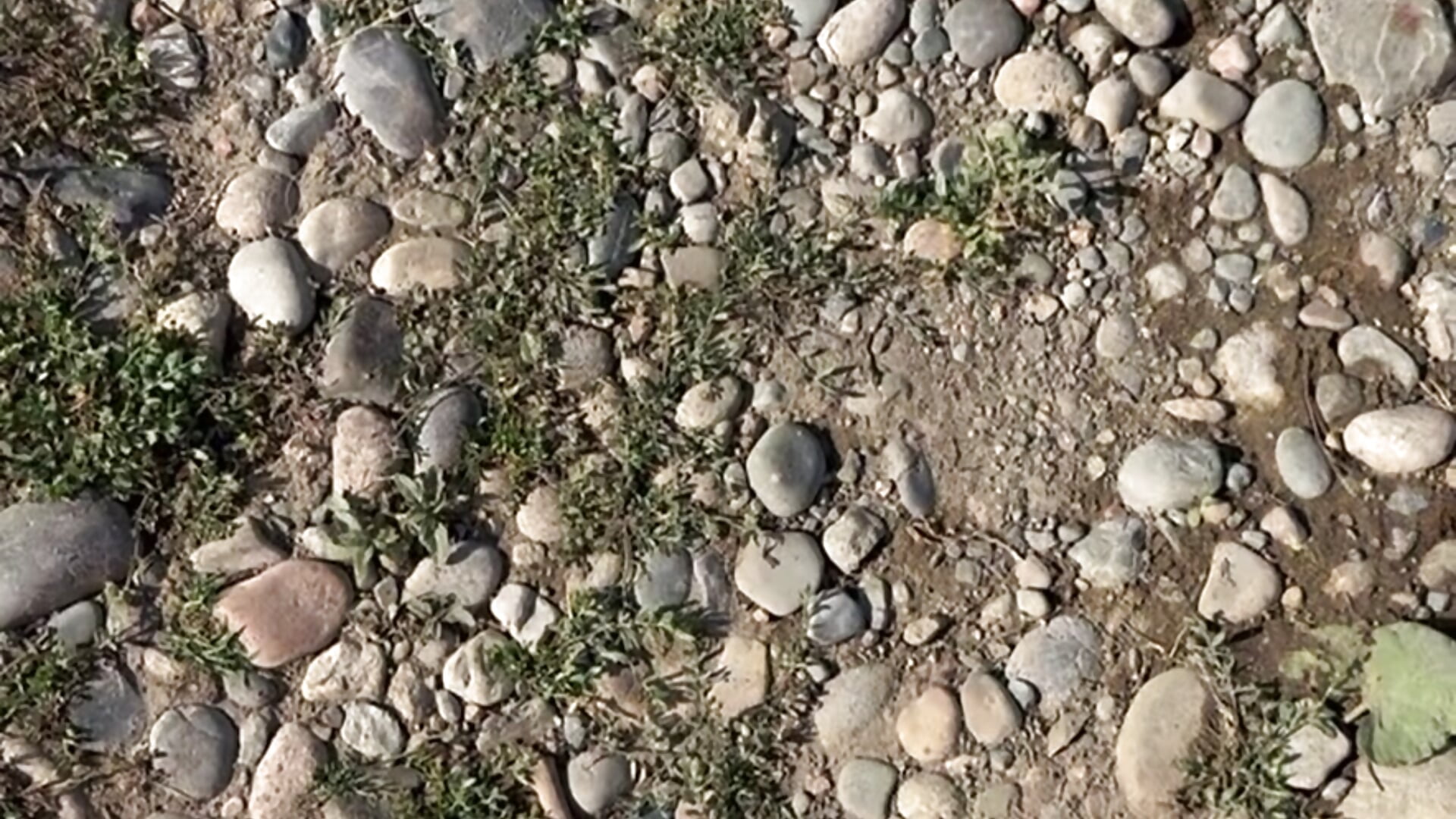walk across the river and over the stones🔥