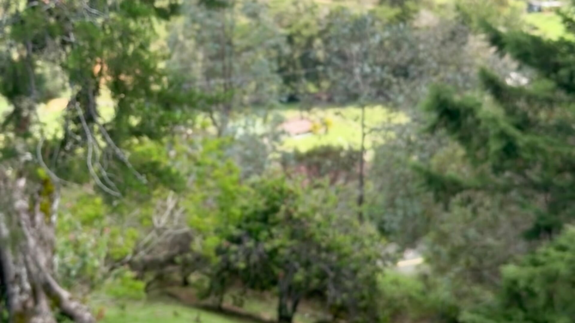 IMG_1063 - 視頻由 Kevin22_222 主播提供