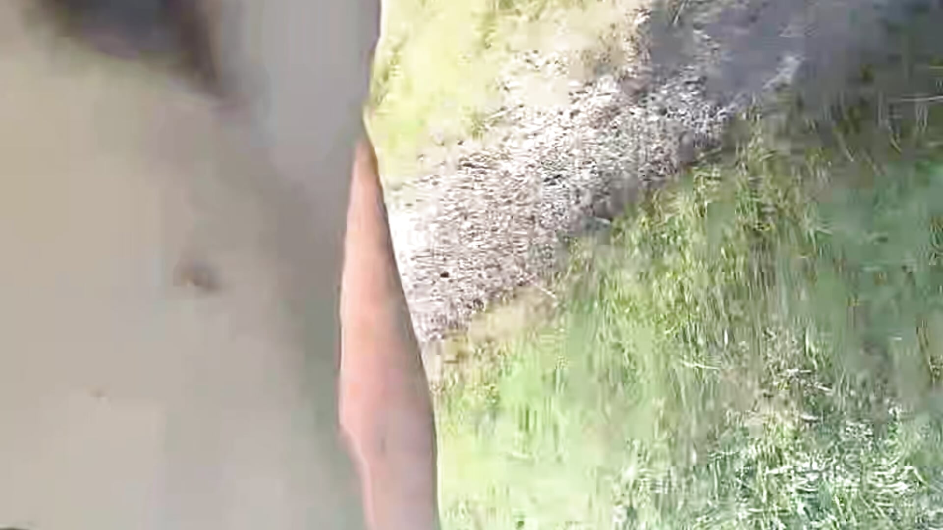 Nur mit Cage durch die Natur