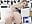 Max`s Hard COCK Rating Blowjob with CUM on Face - missdaisydiamond777 님의 동영상