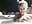 JOI Titties play in Jacuzzi - missdaisydiamond777 님의 동영상