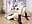 Wet desperation - Foot tease.mov - missdaisydiamond777 님의 동영상