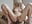 Double Penetration - Fuck my ASS with BBC and my PUSSY - missdaisydiamond777 님의 동영상