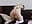 Smoking Fetish Masturbation - missdaisydiamond777 님의 동영상