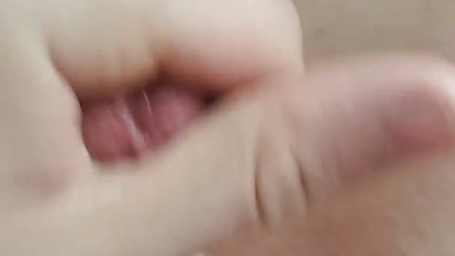 wanking and little cum - vidéo du modèle de showcams iliaskrislove