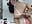 👿Doggy Hard Machine Fuck🔥 - video by antonelaswete02 cam model