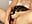 Ball gag & squirt live show ππ¦ - video by Rebeccaxxx cam model