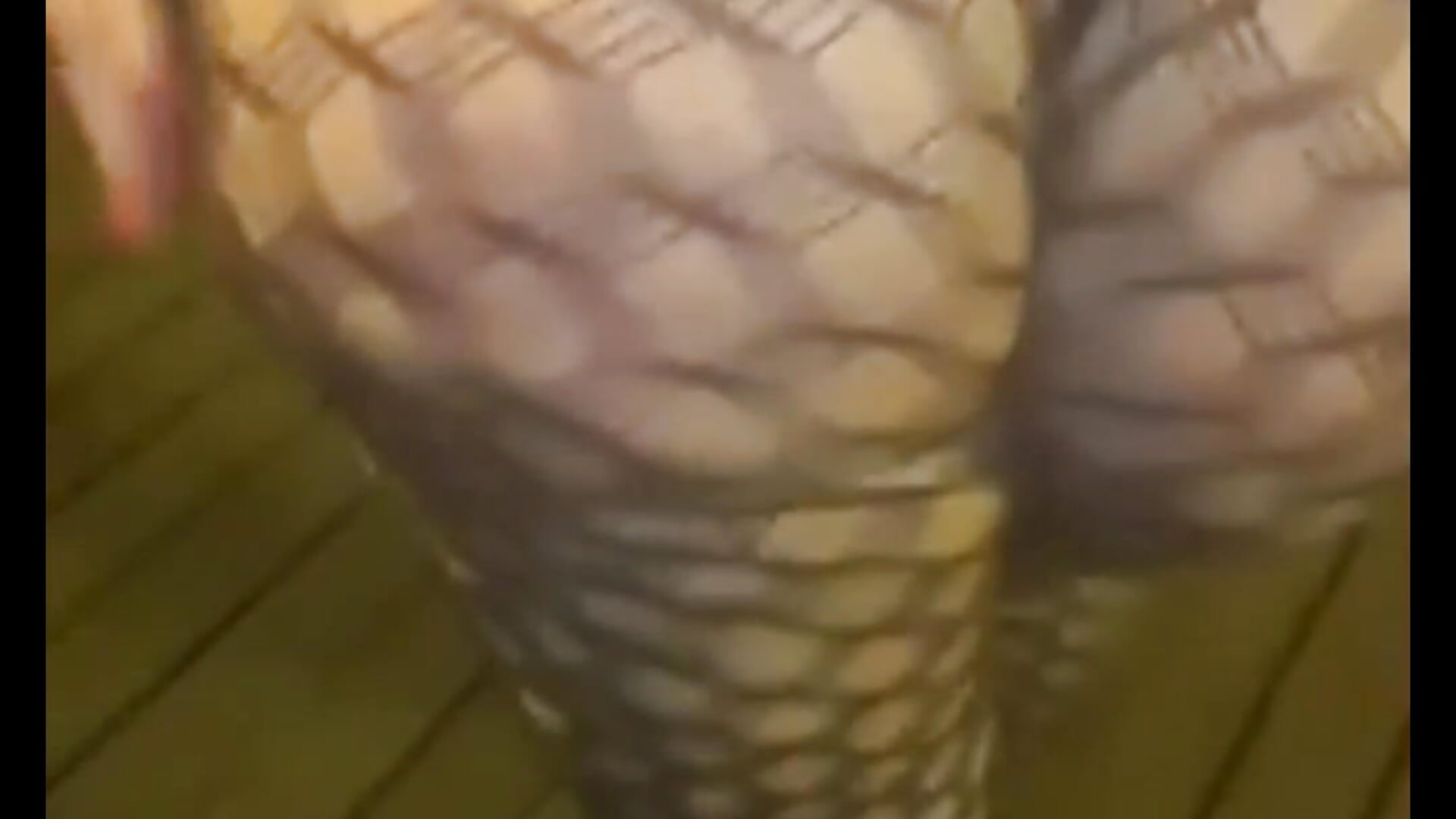 مالط بوجهي