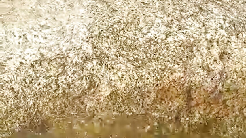 🌤💦❤ - video by Luna_smit08 cam model