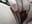 fingering fun - video by Bustycurves cam model