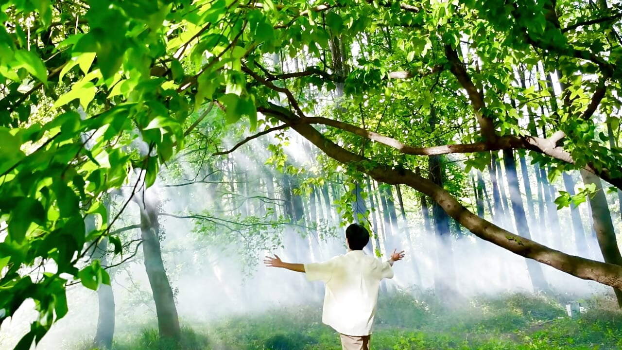 profile-intro-video-1724307795 - video by ABCD1688 cam model