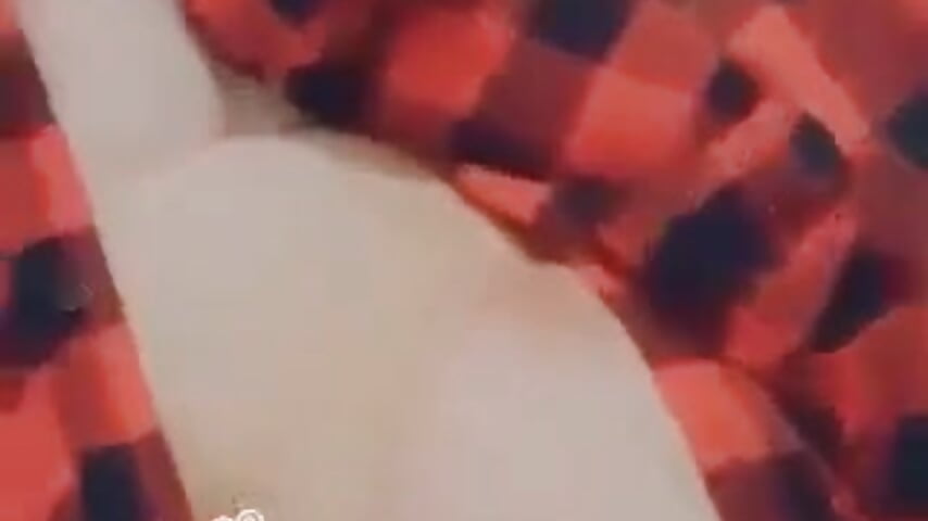 Flannel - video by Fatkitty699 cam model