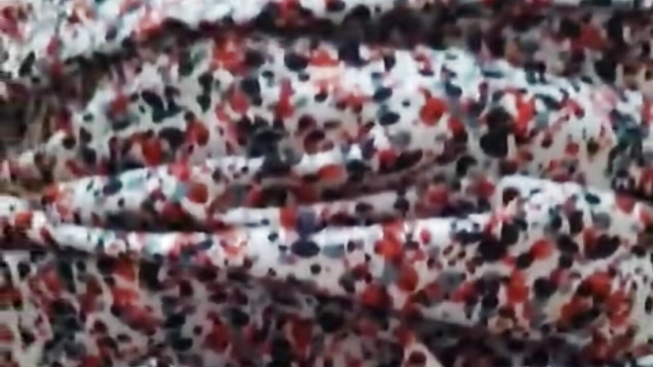 My first Blow job with my BF😻😻 – video modela na kameri Sirishateluguammai