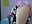 finger in the ass - Yuli_16主播的视频