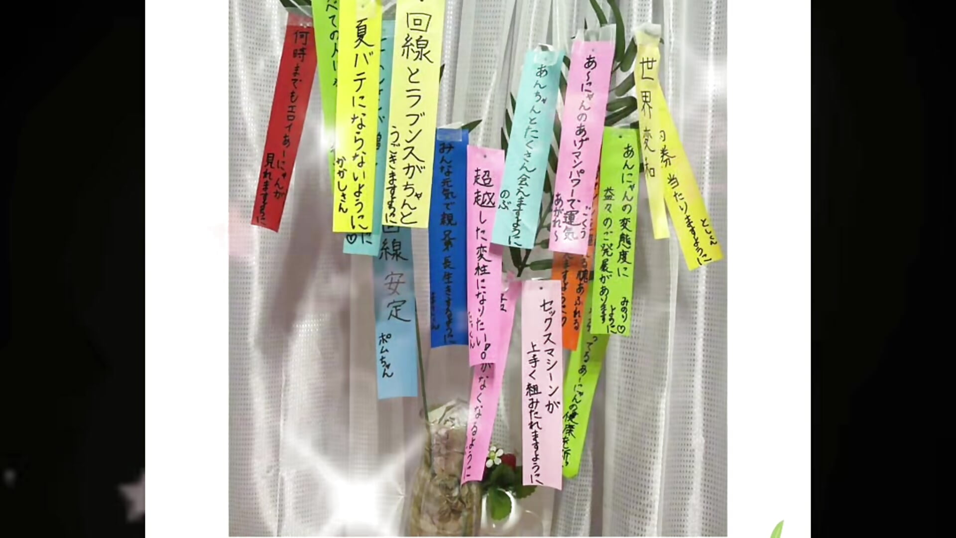 2025.7.7🎋七夕⭐️皆健康第一だよ⭐️👍🏻✨ - video by aaanyan cam model