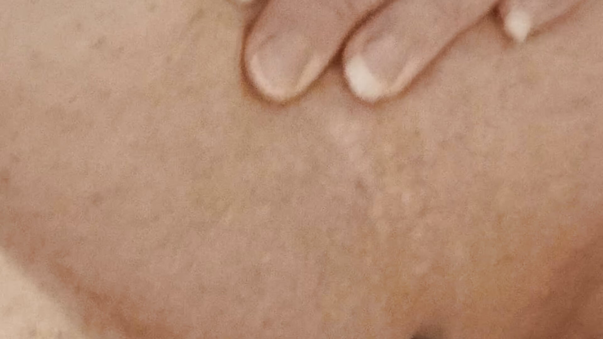 Pisiles