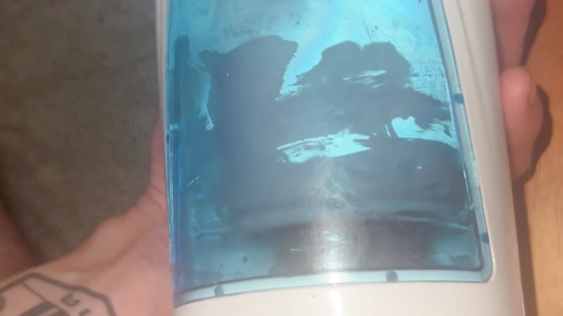 IMG_3095 - video by diedbyamil cam model