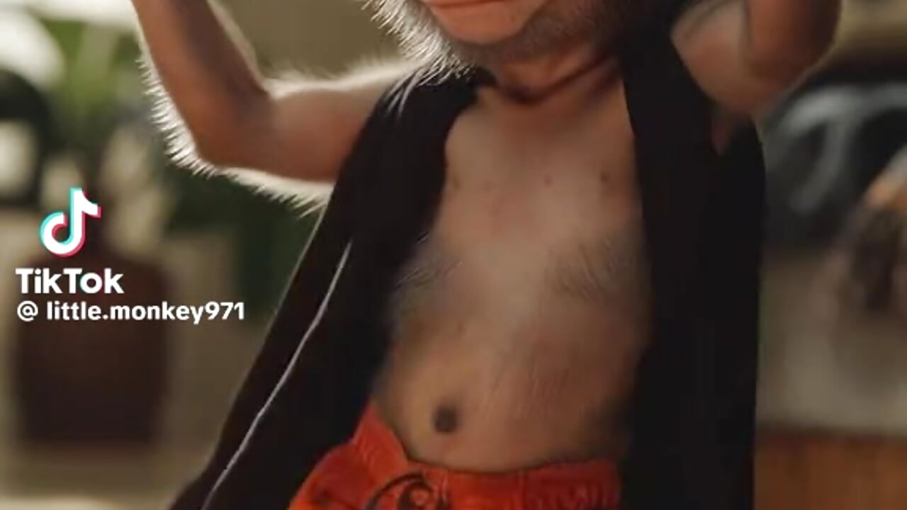 af7db1f91e2774d0ac5d60e9eccfdf8d - clip cu bastidas28 model videochat